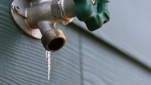 Best Residential Plumbing Services  in Springfield, OR
